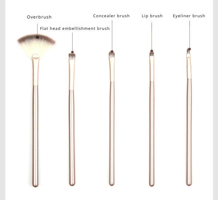 24 brushes in champagne color